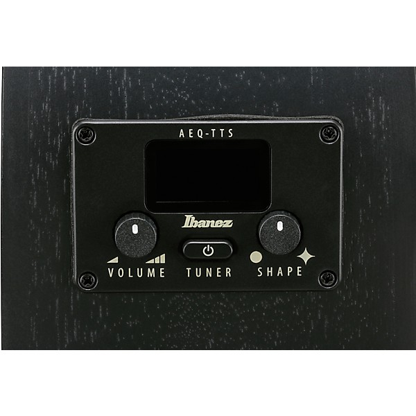 Ibanez AEG621 Auditorium Acoustic-Electric Guitar - Black Out