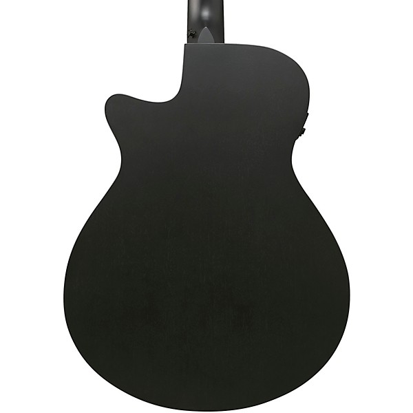Ibanez AEG1221 Auditorium 12-String Acoustic-Electric Guitar - Black Out