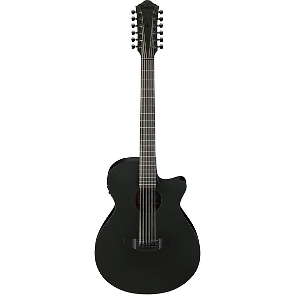Ibanez AEG1221 Auditorium 12-String Acoustic-Electric Guitar - Black Out