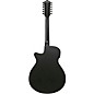 Ibanez AEG1221 Auditorium 12-String Acoustic-Electric Guitar - Black Out