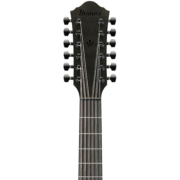Ibanez AEG1221 Auditorium 12-String Acoustic-Electric Guitar - Black Out