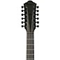 Ibanez AEG1221 Auditorium 12-String Acoustic-Electric Guitar - Black Out