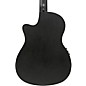 Open Box Ibanez GA621 Nylon-String Acoustic-Electric Guitar - Level 1 Black Out