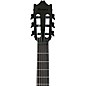 Open Box Ibanez GA621 Nylon-String Acoustic-Electric Guitar - Level 1 Black Out