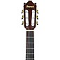 Ibanez GA35TCE Nylon-String Acoustic-Electric Guitar - Violin Sunburst