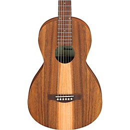 Ibanez PN2WS Parlor Acoustic Guitar - Open Pore Brown