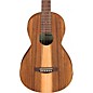 Ibanez PN2WS Parlor Acoustic Guitar - Open Pore Brown thumbnail