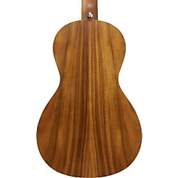 Ibanez PN2WS Parlor Acoustic Guitar - Open Pore Brown