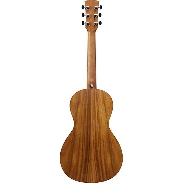 Ibanez PN2WS Parlor Acoustic Guitar - Open Pore Brown