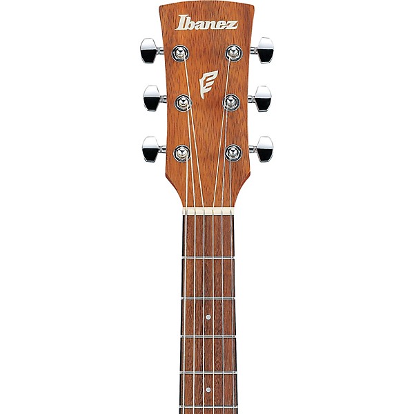 Ibanez PN2WS Parlor Acoustic Guitar - Open Pore Brown