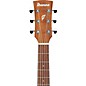 Ibanez PN2WS Parlor Acoustic Guitar - Open Pore Brown