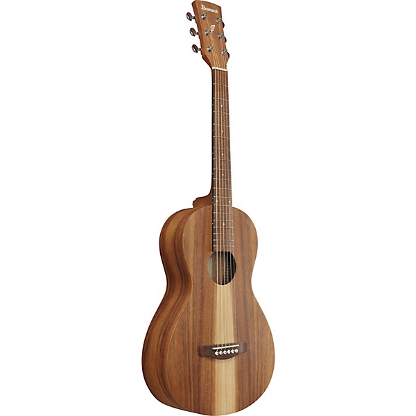 Ibanez PN2WS Parlor Acoustic Guitar - Open Pore Brown