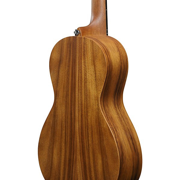 Ibanez PN2WS Parlor Acoustic Guitar - Open Pore Brown