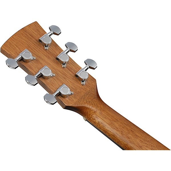 Ibanez PN2WS Parlor Acoustic Guitar - Open Pore Brown