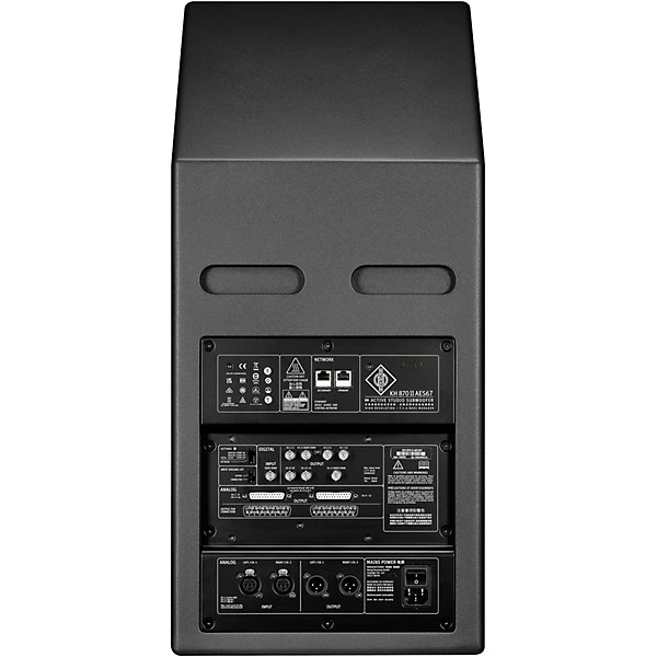 Neumann KH 870 II AES67 Dual 10" Powered Subwoofer With DSP & AoIP Interface