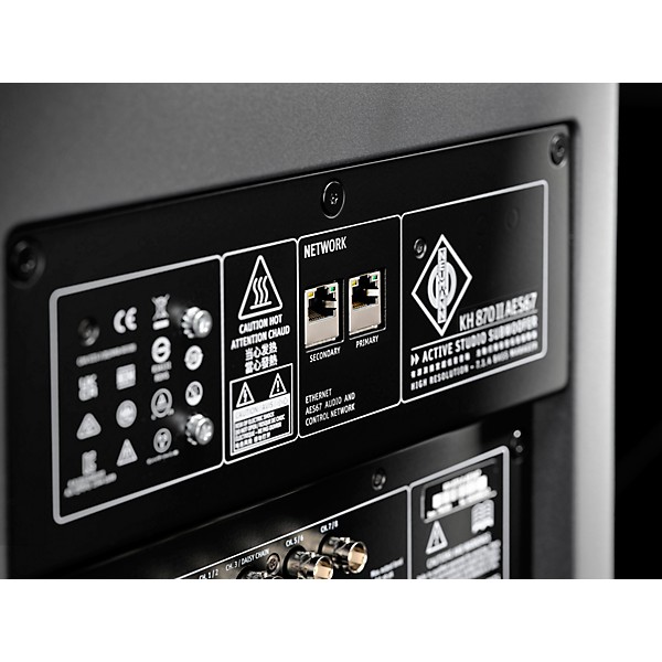 Neumann KH 870 II AES67 Dual 10" Powered Subwoofer With DSP & AoIP Interface
