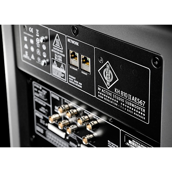 Neumann KH 810 II AES67 10" Powered Subwoofer With DSP & AoIP Interface
