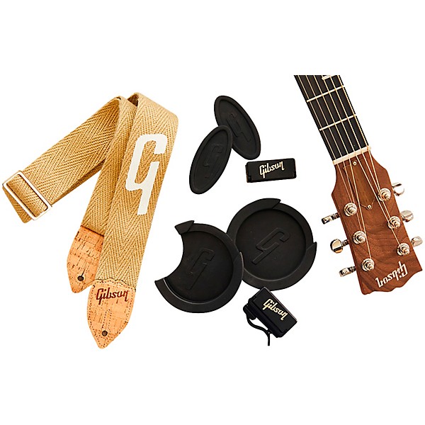 Gibson Gibson Generation Acoustic Soundhole Cover (Standard)