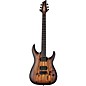 Schecter Guitar Research C-1 Pale Moon Electric Guitar - Natural Satin with Black Burst