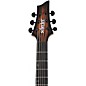 Schecter Guitar Research C-1 Pale Moon Electric Guitar - Natural Satin with Black Burst