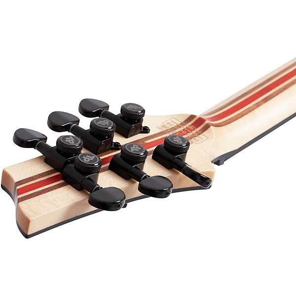 Schecter Guitar Research C-1 Pale Moon Electric Guitar - Natural Satin with Black Burst