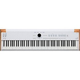 Arturia AstroLab Stage Keyboard With Roadrunner Jetway Hardshell Flight Case (PL4KD Keyboard Stand Included) 61 Key Package