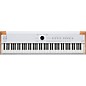 Arturia AstroLab Stage Keyboard With Roadrunner Jetway Hardshell Flight Case (PL4KD Keyboard Stand Included) 61 Key Package