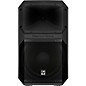 Electro-Voice EVIVA 12P 12" Powered Speaker