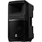 Electro-Voice EVIVA 12P 12" Powered Speaker