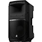 Electro-Voice EVIVA 15P 15" Powered Speaker