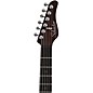 Schecter Guitar Research Nick Johnston Traditional HH Electric Guitar - Atomic Mercury