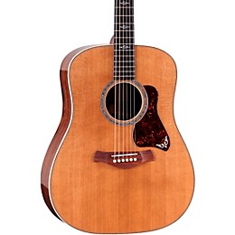 Taylor Gold Label 810e Acoustic-Electric Guitar - Natural