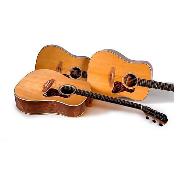 Taylor Gold Label 810e Acoustic-Electric Guitar - Natural