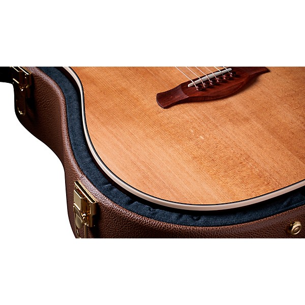 Taylor Gold Label 710e Acoustic-Electric Guitar - Natural