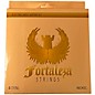 FORTALEZA GUITARS 4 String Nickel Electric Bass Strings 45 - 105 thumbnail