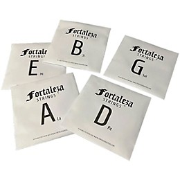 FORTALEZA GUITARS 5 String Stainless Steel 5 Electric Bass Strings 45 - 125