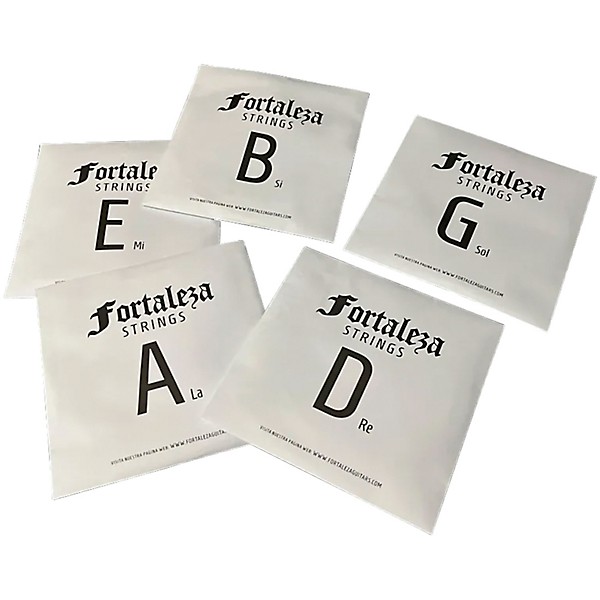 FORTALEZA GUITARS 5 String Stainless Steel 5 Electric Bass Strings 45 - 125