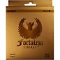 FORTALEZA GUITARS Stainless Steel Ball End Bajo Quinto Strings thumbnail