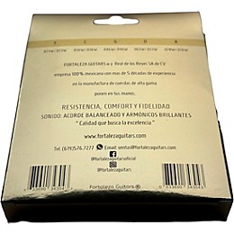 FORTALEZA GUITARS Nickel Loop End Bajo Quinto Strings