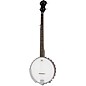 Mitchell OB100 Open-Back Banjo -
