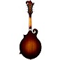 Mitchell FM200 F-Style Mandolin - Violin Burst