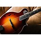 Mitchell FM200 F-Style Mandolin - Violin Burst