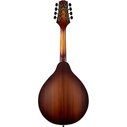 Mitchell AM100 A-Style Mandolin - Sunset Burst