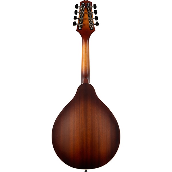 Mitchell AM100 A-Style Mandolin - Sunset Burst
