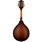 Mitchell AM100 A-Style Mandolin - Sunset Burst