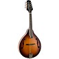 Mitchell AM100 A-Style Mandolin - Sunset Burst