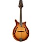 Mitchell DM200E Double Cut Acoustic-Electric Mandolin - California Gold thumbnail