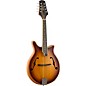 Mitchell DM200E Double Cut Acoustic-Electric Mandolin - California Gold
