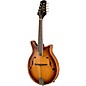Mitchell DM200E Double Cut Acoustic-Electric Mandolin - California Gold