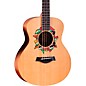 Taylor Jacob Collier GS Mini 5-String Acoustic Guitar - Custom Logo thumbnail